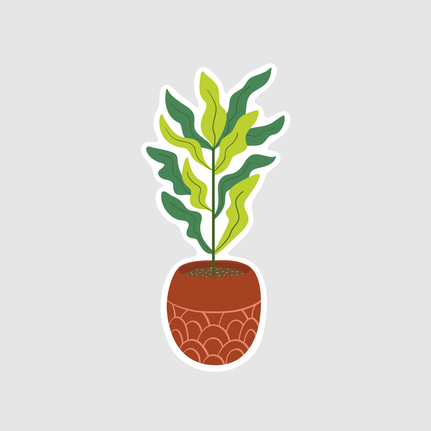 Fiddle leaf fig brown clay pot sticker - plant sticker