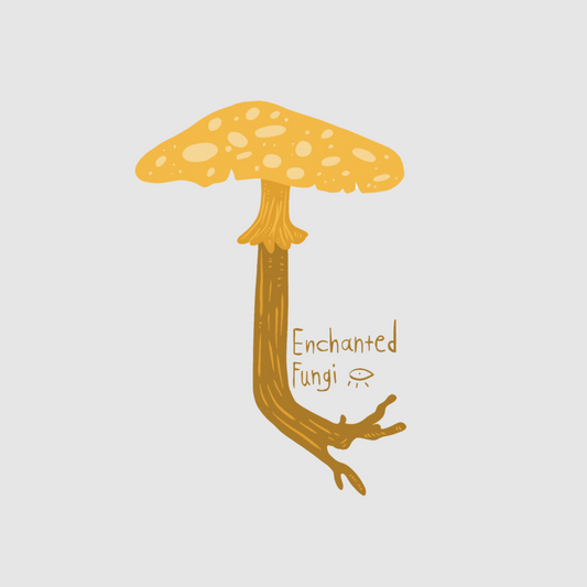 Fungi design - Enchanted Fungi sticker